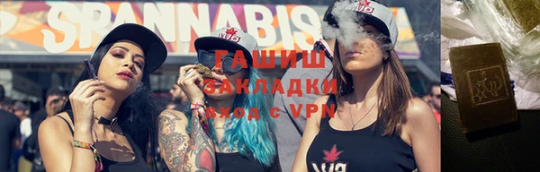 крисы Бородино