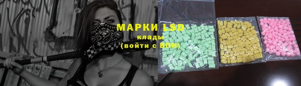 крисы Бородино