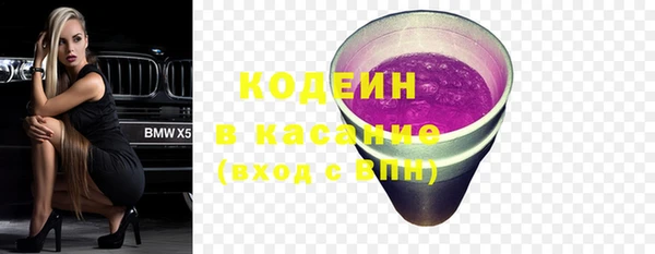 крисы Бородино