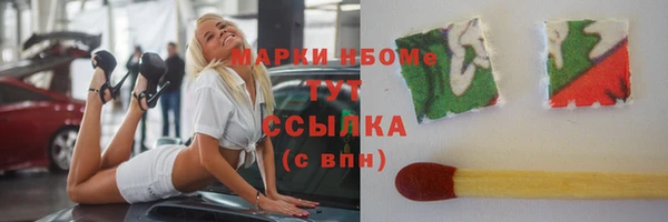 крисы Бородино