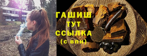 крисы Бородино