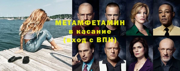 крисы Бородино
