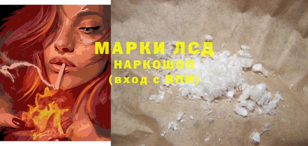 крисы Бородино
