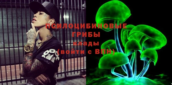 крисы Бородино
