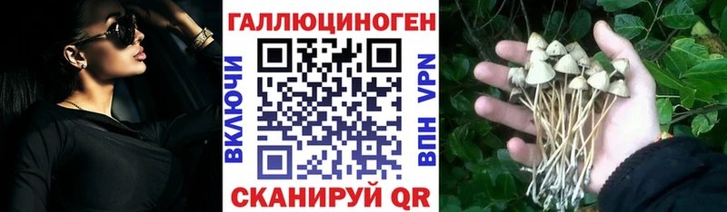 Псилоцибиновые грибы GOLDEN TEACHER  Торопец 
